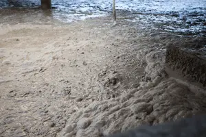 Froth Floation