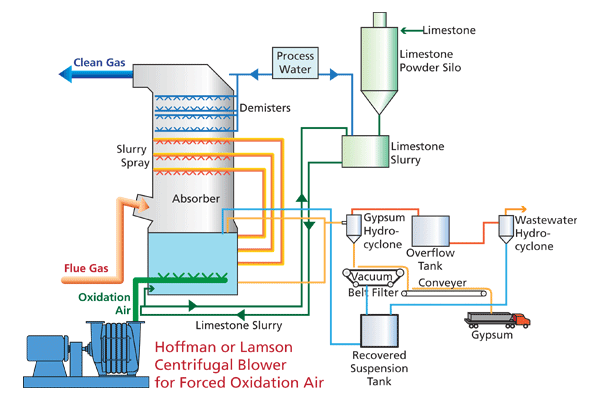 FGD Process