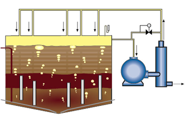 Anaerobic Digestion Process