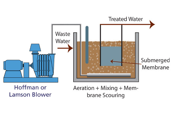 Membrane Filtration 